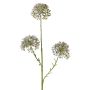 Branche décorative d'allium ALIKIO, bleue, 65cm, Ø7cm