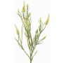 Branche décorative Trèfle EUTIN avec des fleurs, blanc-vert, 80cm, Ø1,5-2cm