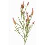Branche décorative Trèfle EUTIN avec des fleurs, vieux rose-vert, 80cm, Ø1,5-2cm