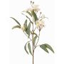 Branche d'eucalyptus artificielle WANARA avec fleurs, blanche, 100 cm, Ø 2-6 cm