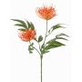 Branche de silberia artificielle VULKINTA avec fleurs, orange, 75 cm, Ø 9-11 cm