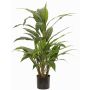 Cordyline artificielle ORMOS, verte, 80cm