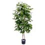 Schefflera artificielle GÜSSING, tiges naturelles, verte, 120 cm