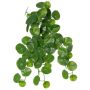 Plante artificielle Stephania erecta ANOGIA sur tige, verte, 50 cm