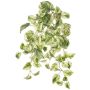 Plante artificielle lierre retombant SITIA, tige, vert-blanc, 50 cm