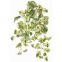 Plante artificielle lierre retombant SITIA, tige, vert-blanc, 50cm