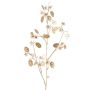 Branche artificielle de lunaria en satin PINDUS avec fleurs, crème-doré, 85 cm