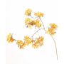 Branche décorative d'hortensias en velours PIRES, jaune-doré, 110 cm