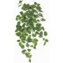 Lierre artificiel suspendu POTTEN, tige, vert-blanc, 80cm