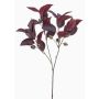 Branche d'eucalyptus décorative VIZIMIR avec des fruits, rouge bourgogne, 80cm