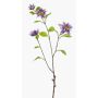 Branche décorative Clématite RUHNA, lilas, 75cm