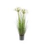 Herbe artificielle Agapanthus BIBIANKA, blanc, 80cm
