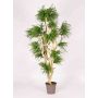 Arbre artificiel Abélia DIMYTRO avec des troncs naturels, crossdoor, vert, 185cm - Made in Italy