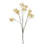 artificiel Gypsophile LITAGO, Trockenoptik, beige, 70cm, Ø1,5cm