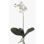 Orchidée Phalaenopsis en soie FAO sur piquet, blanc, 45cm