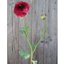 Fleur en tissu Renoncule VERONICA, rouge, 85cm