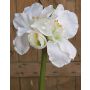 Amaryllis en tissu MAGGIE, blanc, 80cm, Ø8-16cm
