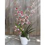 Orchidée Oncidium artificielle YOSEPHIN en pot en argile, blanc-rouge, 70cm