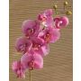 Tige d'orchidée Phalaenopsis en tissu RICKY, rose fuchsia, 105cm