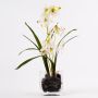 Orchidée Dendrobium artificielle ZUZA en verre décoratif, blanc-vert, 35cm
