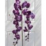 Tige d'orchidée Phalaenopsis en tissu PHILLINE, violet foncé, 150cm