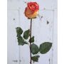 Rose artificielle OPHELIE, orange-jaune, 85cm, Ø7cm