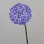Fleur artificielle Allium LIECHA, lilas, 80cm, Ø14cm