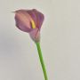Zantedeschia artificiel TALEA, violet, 65cm, 9x11cm