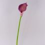 Faux Calla TERESA, violet, 70cm, 10x18cm