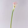Faux Calla TERESA, blanc-rose, 70cm, 10x18cm