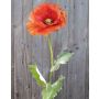 Fleur artificielle Coquelicot ESILA, orange, 80cm