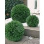Boule de cyprès artificielle PAULINE, vert, Ø38cm