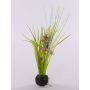 Herbes et Ornithogale artificiels MANFREDO, dans motte de terre, violet-fuchsia, 40cm