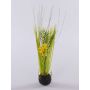 Herbes et Ornithogale artificiels MANFREDO, en motte de terre, jaune, 40cm