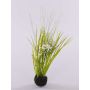 Herbes et Ornithogale artificiels MANFREDO, en motte de terre, blanc, 40cm