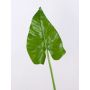 Feuille de calla artificiel FRANSCHESKA, vert, 70cm