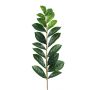 Branche de zamioculcas zamiifolia artificielle CHIYO, vert, 60cm