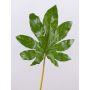 Feuille d'aralia artificielle SALVATORE, vert, 70cm