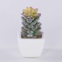 Pachyphytum oviferum artificiel ROBBIE, pot en céramique, vert, 13cm