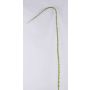 Branche d'épines décorative ALOISA, vert-marron, 170cm