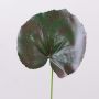 Feuille de géranium artificielle HEIDEGARD, vert-rouge, 38cm, Ø14cm