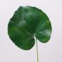 Feuille de géranium artificielle HEIDEGARD, vert, 38cm, Ø14cm