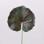 Feuille de géranium artificielle HEIDEGARD, vert-rouge, 38cm, Ø13cm