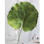 Feuille de géranium artificielle HEIDEGARD, vert, 38cm, Ø13cm