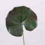Feuille de géranium artificielle HEIDEGARD, vert-rouge, 38cm, Ø11cm