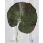 Feuille de géranium artificielle HEIDEGARD, vert-rouge, 38cm, Ø11cm