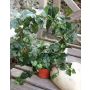 Couronne de lierre artificielle GLADICE en pot décoratif, vert, 40cm, Ø28cm