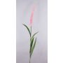 Roseau artificiel LEBRERO avec panicules, rose, 175cm