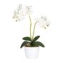 Fleur décorative Orchidée Phalaenopsis FRUXO, piquet, racines, blanc, 50cm