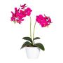 Fleur décorative Orchidée Phalaenopsis FRUXO, piquet, racines, rose fuchsia, 50cm
